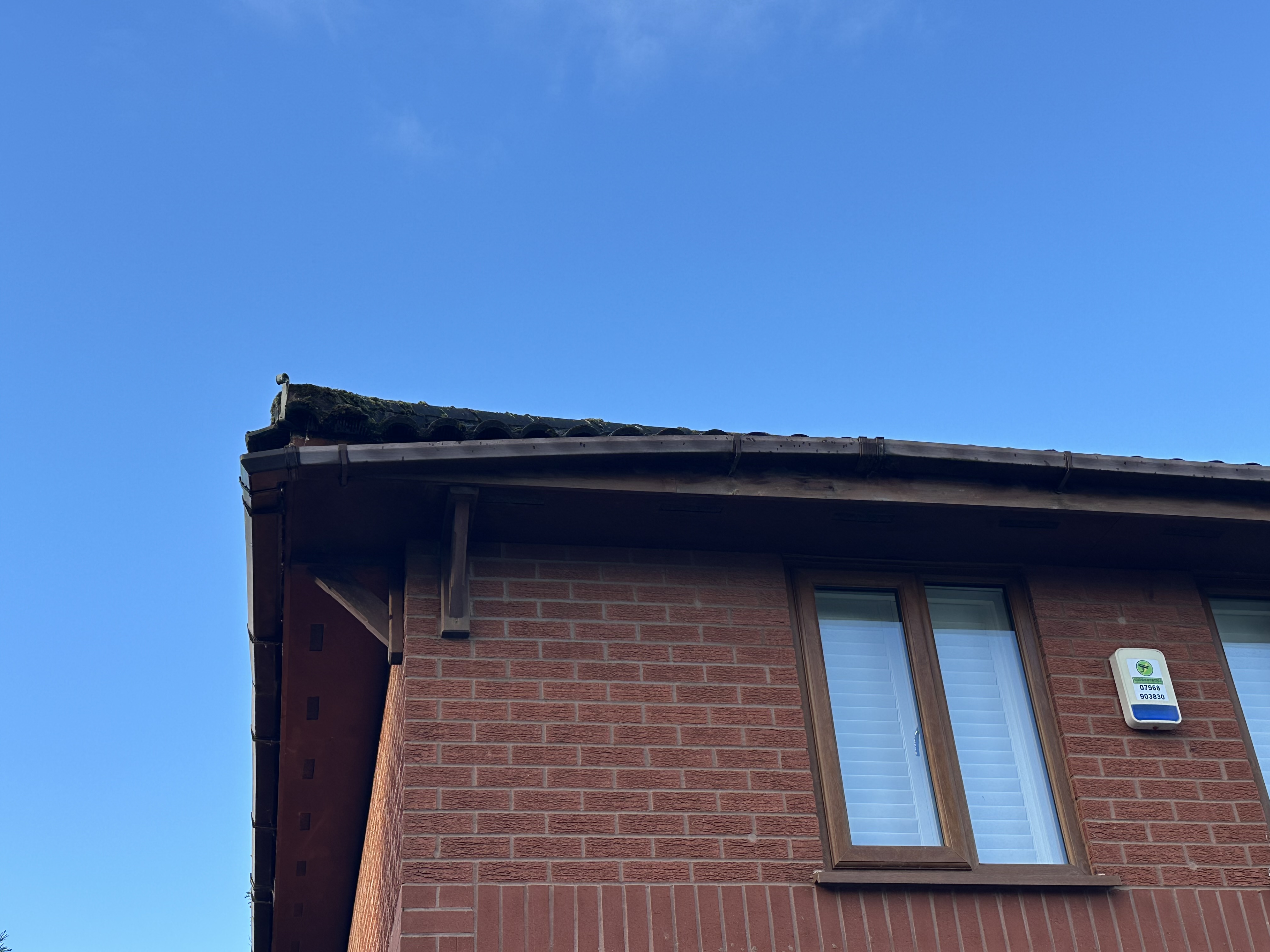 Before gutter cleaning in Coventry, view 7