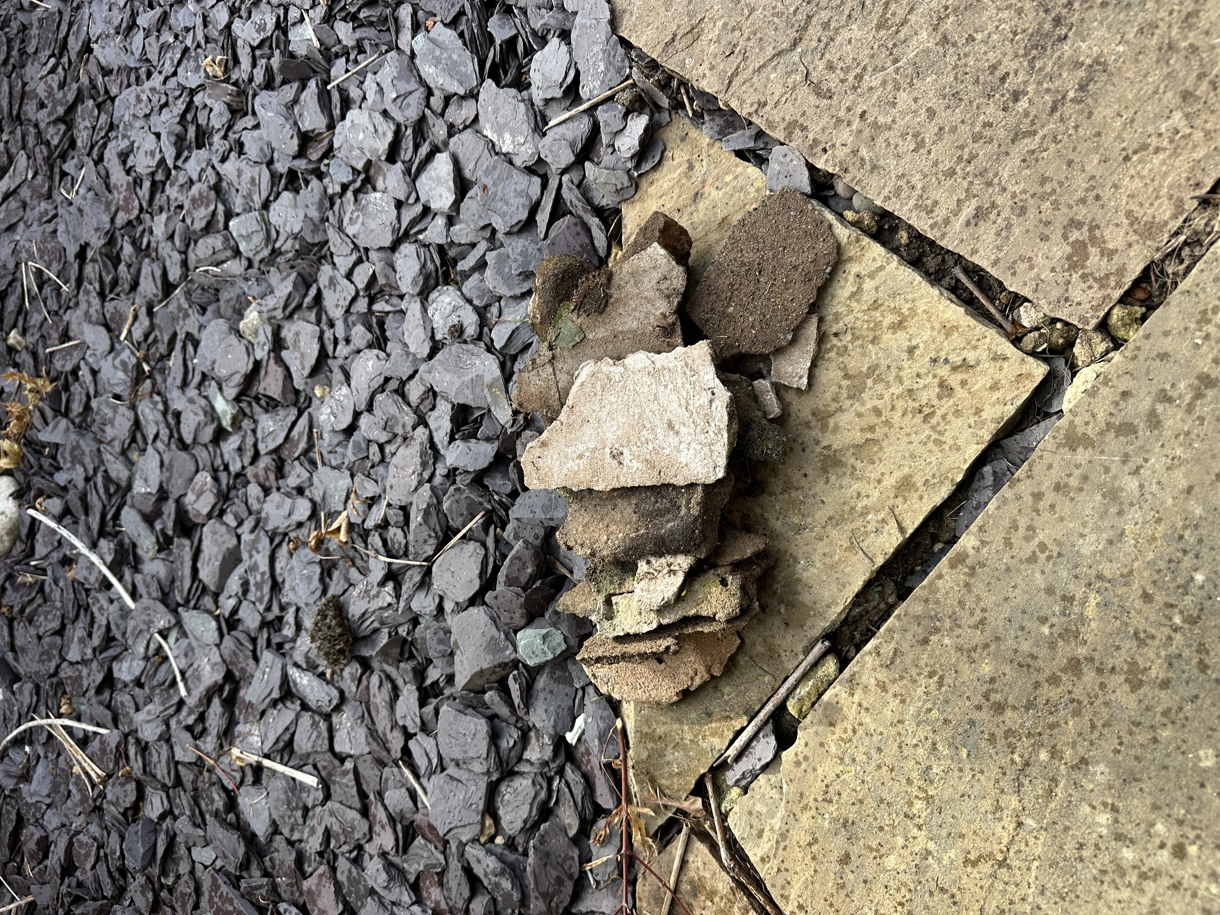 Before gutter cleaning in Coventry, view 5